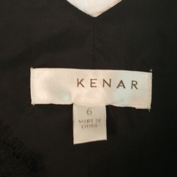 Kenar Silk Spaghetti Strap Dress Women's Sz 6 Black Eyelash Lace V Neck Pleated - Picture 2 of 16